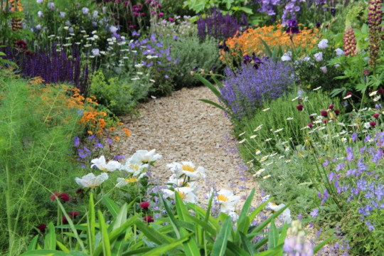 The Morgan Stanley Garden - Chelsea Flower Show 2017 - fot. Łukasz Skop