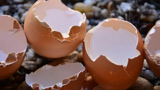 Wykorzystaj skorupki jajek. Nie tylko do nawożenia roślin!