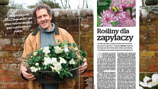 Rośliny dla zapylaczy. Monty pokazuje niezbędne rośliny, w których się zakochasz