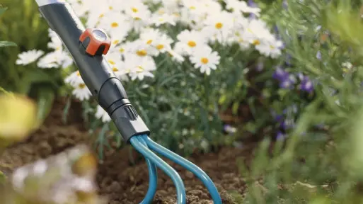 Kalendarz ogrodniczy na 12 miesięcy | Lista prac