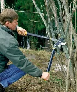 sekator dwuręczny fot. Fiskars