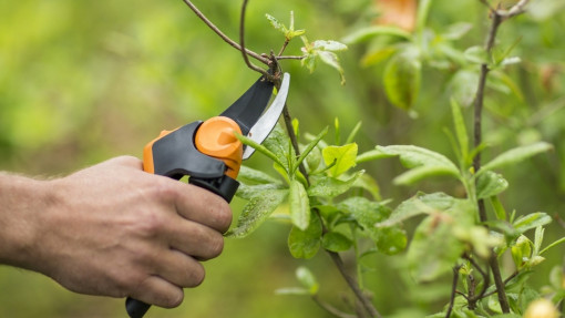 Sekator nożycowy PX94 PowerGear™X – nowość od Fiskars!