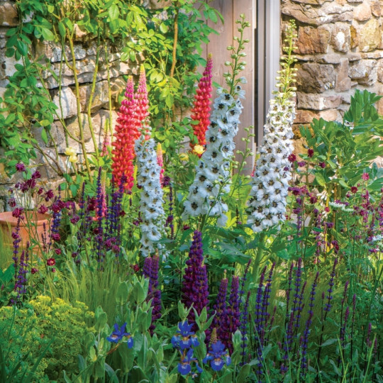 ostróżka na Chelsea Flower Show 2018 - Gardeners World Polska 4-2018.jpg