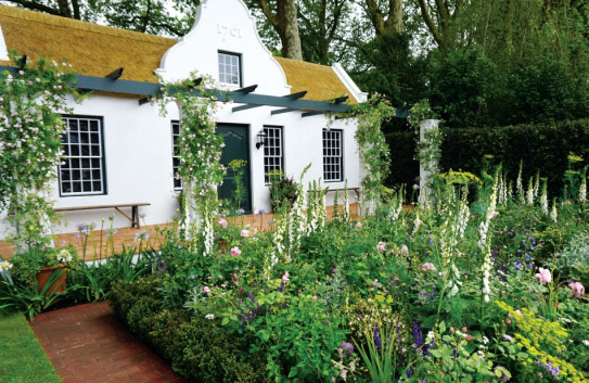 Chelsea Flower Show 2018 fot. Łukasz Skop.jpg