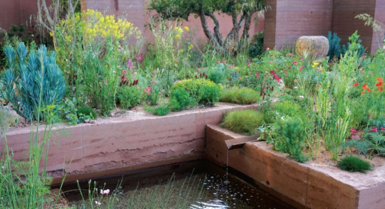 Chelsea Flower Show 2018 fot. Łukasz Skop