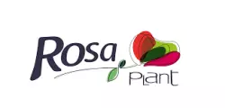 logo Rosa Plant