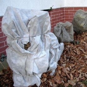 W połowie marca można usunąć osłony i rozgarnąć kopczyki, które zimą chroniły krzewy ogrodowe przed mrozem. Osłony warto jednak mieć pod ręką w razie nawrotu przymrozków.
