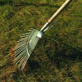 Z trawnika należy usuwać opadające liście, w przeciwnym razie mogą powodować gnicie murawy w okresie zimy i powstawanie łysych placów. Dobrze wyschnięte liście można użyć do okrywania na zimę roślin.