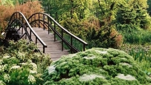 Ogród Botaniczny Uniwersytetu Wrocławskiego