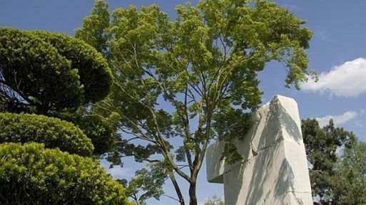 Muzeum Drzew w Zurychu