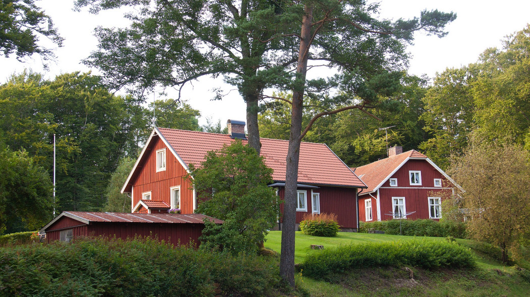 Budowa ogrodzenia przy drzewach, fot. Bente Jønsson - Pixabay