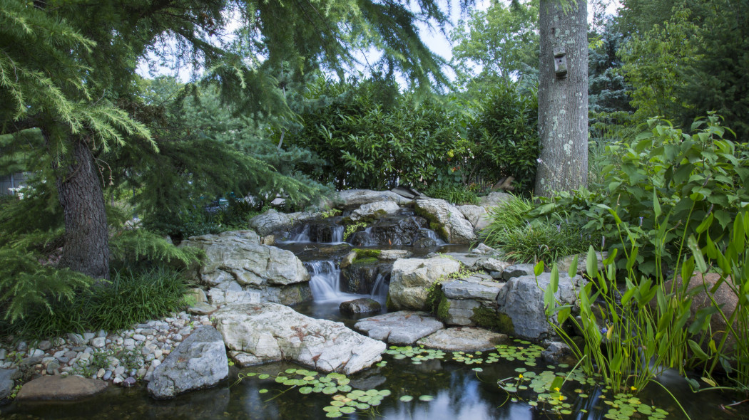 Lokalizacja zbiornika wodnego PondGuy Pixabay