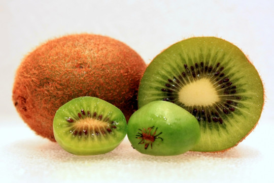 duże kiwi i minikiwi fot. Hiperpinguino - Sopstveno delo - CC BY-SA 3.0 - Wikimedia Commons