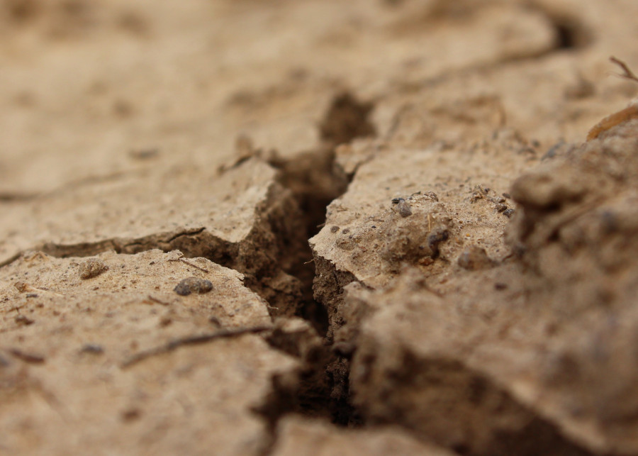 Jak określić rodzaj gleby svklimkin  Pixabay