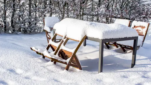 Co robić zimą w ogrodzie? | Lista prac do zrobienia