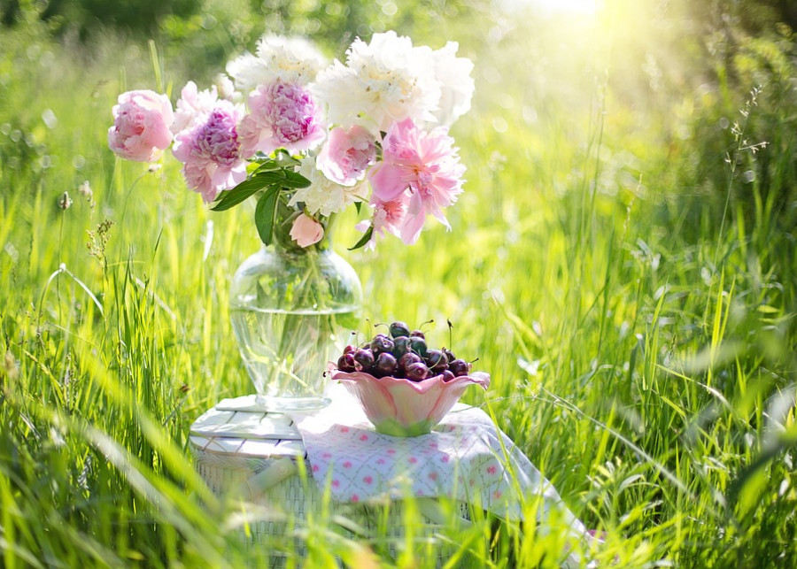 Polecamy kwiaty do wazonu Jill Wellington Pixabay