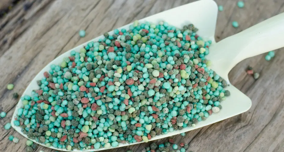 Poradnik nawożenia roślin ogrodowych | Po co? Jak i czym to robić?