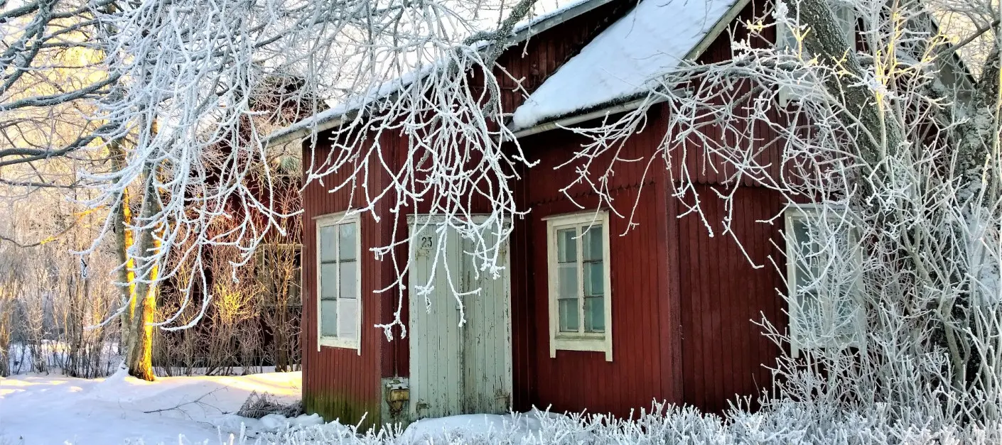 Co zrobić w ogrodzie w styczniu Lena Lindell  Pixabay