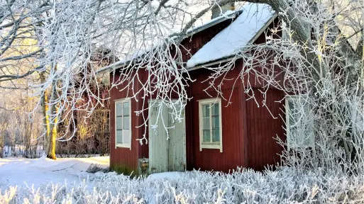 Styczeń w ogrodzie – co robić? | Lista prac do zrobienia
