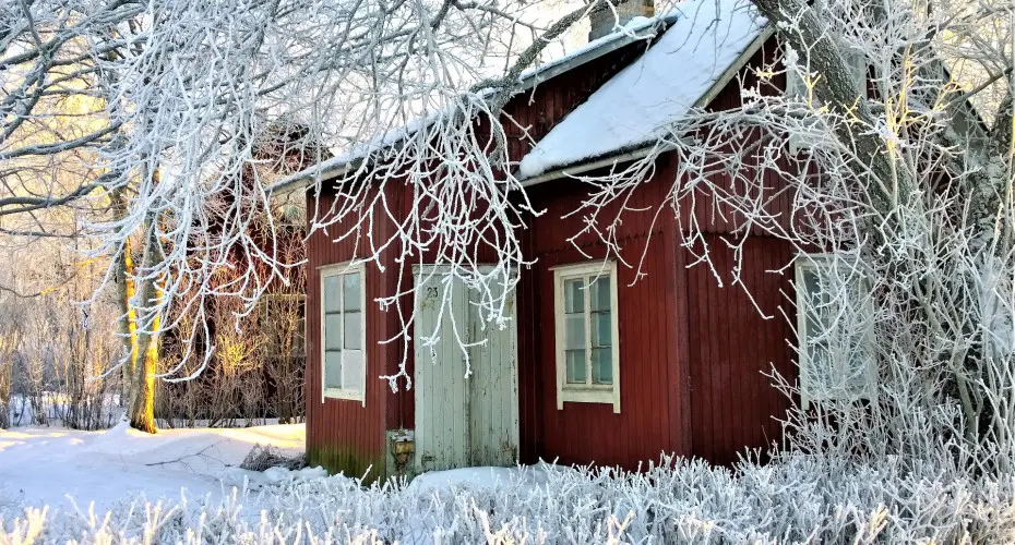 Styczeń w ogrodzie – co robić? | Lista prac do zrobienia
