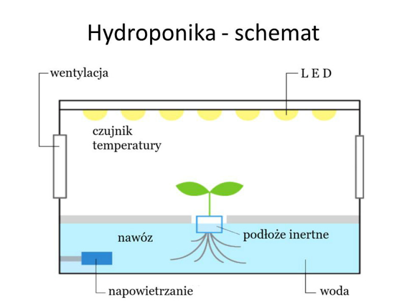 Uprawa hydroponiczna - schemat fot. Green Farm