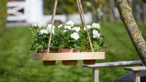 Drewniana taca z białymi pelargoniami | DIY