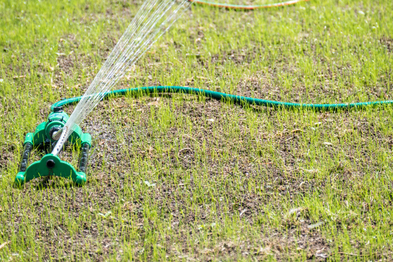 kiełkowanie nasion traw fot. focus finder - Fotolia