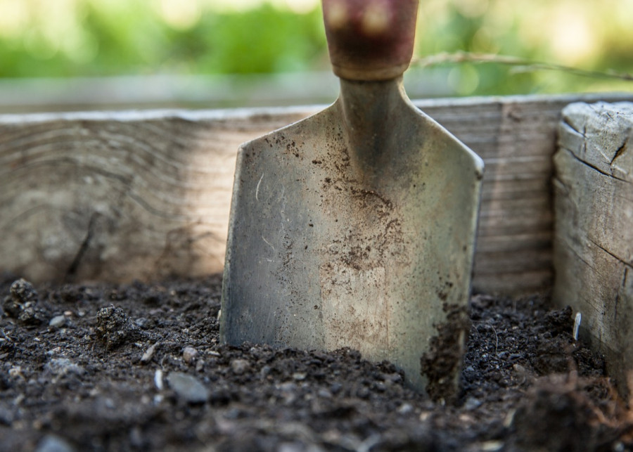 przygotowanie gleby na wysiew nasion fot. walkersalmanac - Pixabay