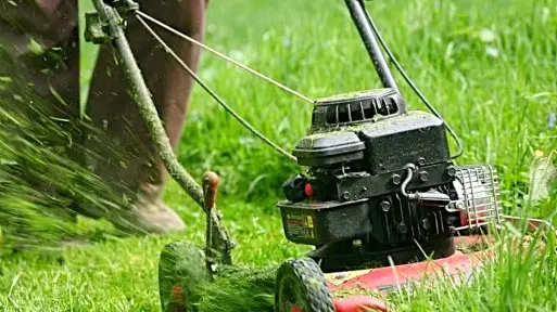 Koszenie trawnika | Jak i kiedy kosić trawę? Wyjaśniamy!