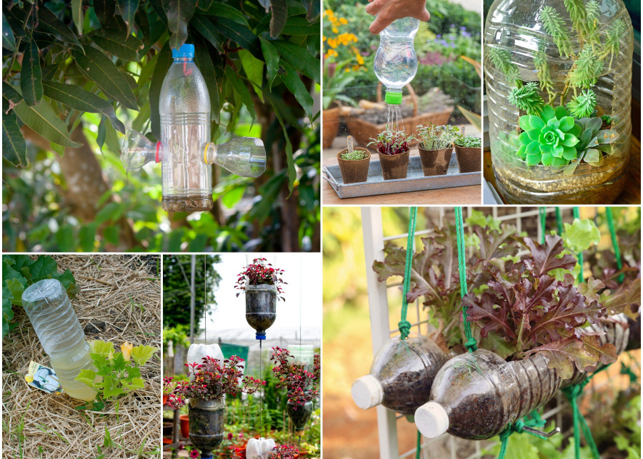 Jak wykorzystać plastikowe butelki w ogrodzie