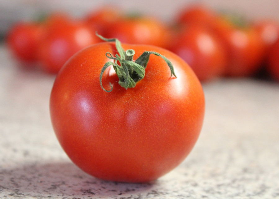 pomidor z ogródka fot. Uki_71 - Pixabay