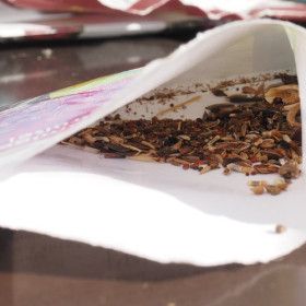 W marcu możemy wysiewać do doniczek i inspektów nasiona ogrodowych roślin jednorocznych oraz warzyw (wczesne odmiany kapusty, sałaty, rzodkiewki, kopru, marchwi). W ogrodzie można siać warzywa wytrzymałe na zimno: rzodkiewka, koper, cebulę, groch (należy przykryć je włókniną).