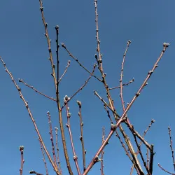 Tydzień 11, Sentencja nr:5