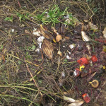 Tydzień 26, Sentencja nr:8