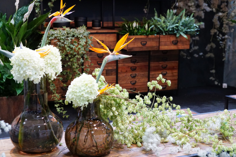 Showroom Urban Jungle_Wystawa Zieleń to Życie i Flower Expo Polska 2019, fot. Agencja Promocji Zieleni