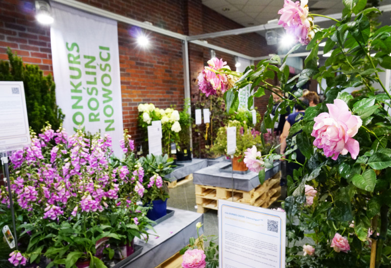 Konkurs Roślin Nowości_Wystawa Zieleń to Życie i Flower Expo Polska 2019, fot. Agencja Promocji Zieleni