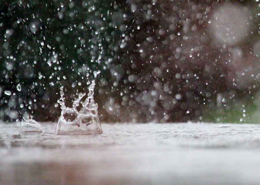 Deszczówka, idealna woda do podlewania roślin fot. Ulrike Mai - Pixabay