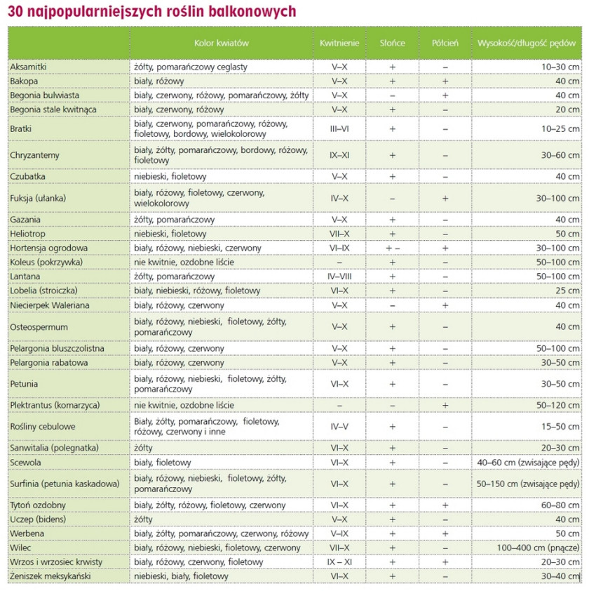 Tabela - najpopularniejsze rośliny na balkon