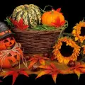 25+ dekoracji z dyni na Halloween – nie tylko straszydła! | Zainspiruj się i twórz, zobacz galerię inspirujących pomysłów