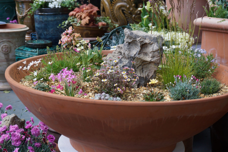 10 pomysłów na ogród z Chelsea Flower Show