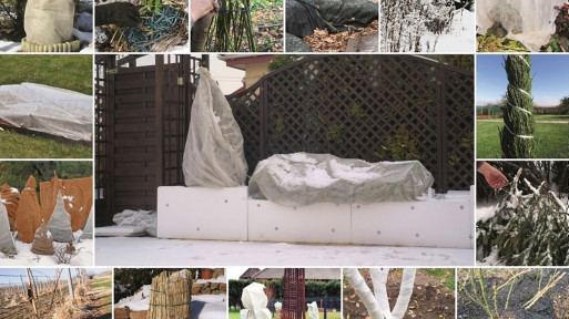 Jak skutecznie chronić rośliny przed zimowym mrozem? Oto 15 sprawdzonych sposobów