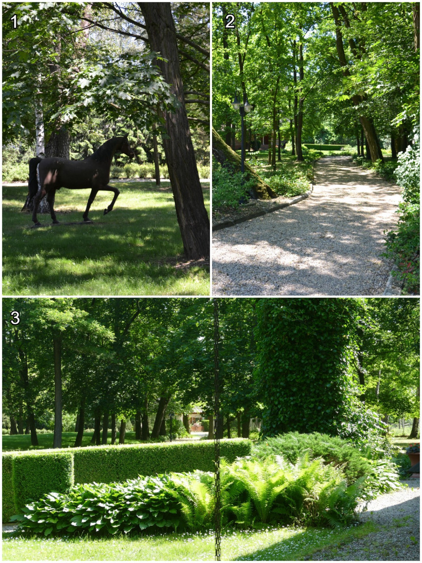 W ogrodzie-parku - kolaż, W ogrodzie-parku, fot. Lilianna Jampolska