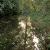 Jak działa system automatycznego nawadniania?
