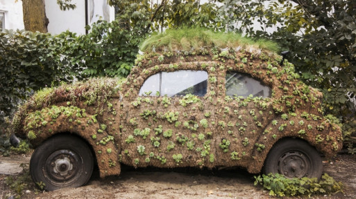 Flower Power Blooming VW Beetle, czyli ogród na garbusie! 