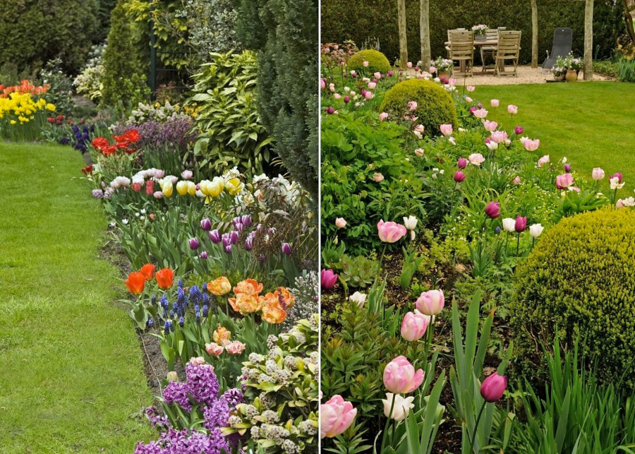Wiosenna rabata, zakładanie i wybór roślin kwitnących wiosną, fot. iBulb