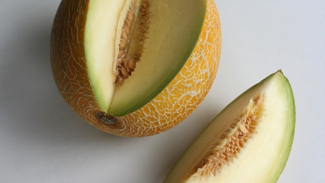 Melon, fot. Asio otus (CC BY-SA 3.0) - Wikimedia Commons