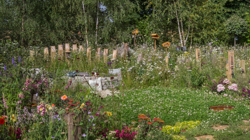 Ogrody z RHS Hampton Court Palace Garden Festiwal fot. Tomek Ciesielski 