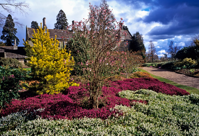 12 pomysłów na kolorowe rabaty fot. gardenguru Depositphotos