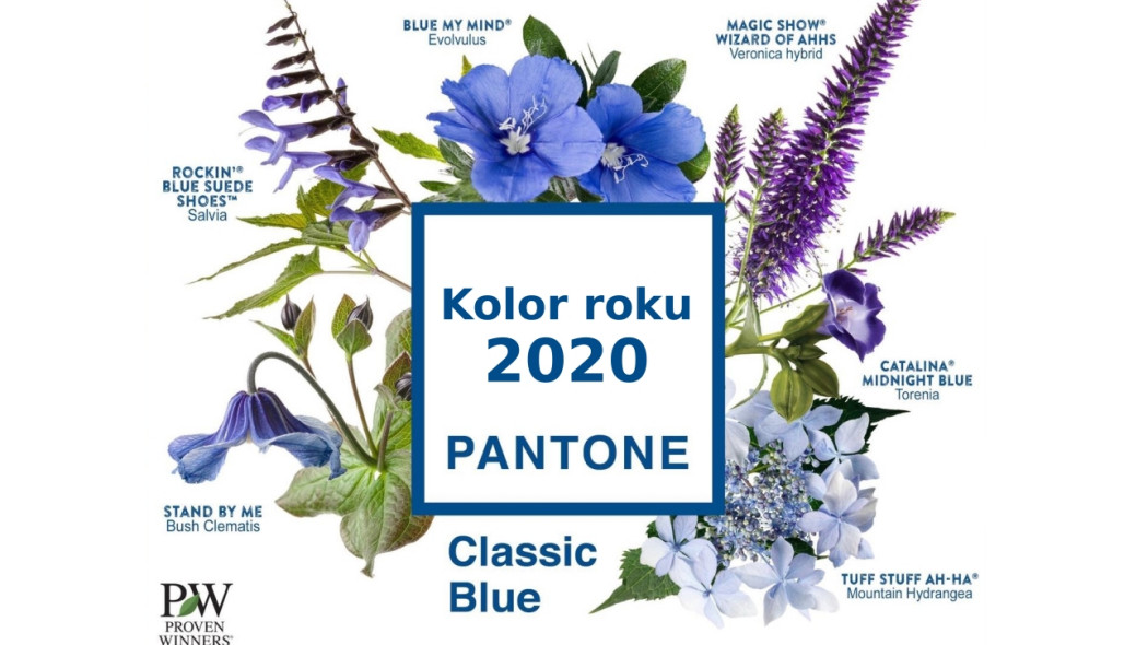 Kolor roku wg instytutu Panton 2020 – Classic Blue