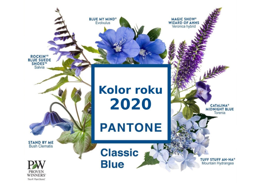 Kolor roku wg instytutu Panton 2020 – Classic Blue
